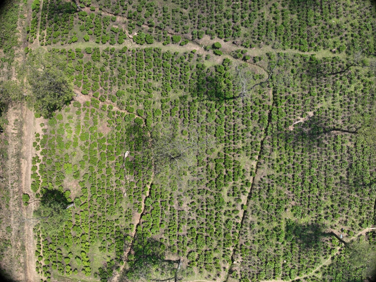 DGPS · RTK Land Mapping